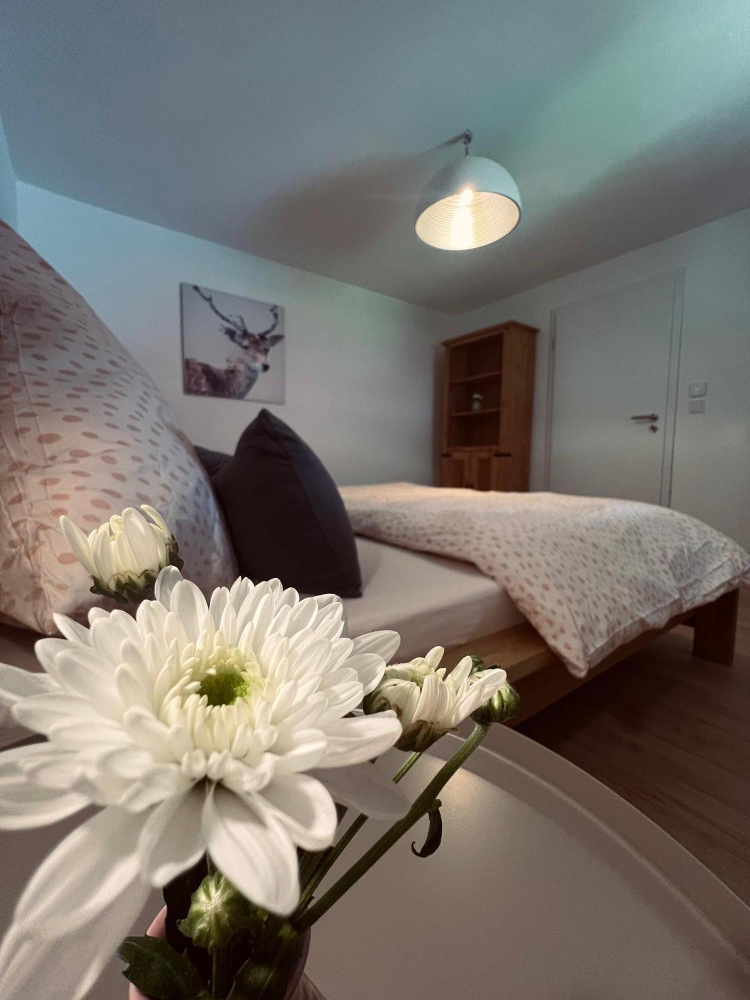 Ferienwohnung Leonie Oberau  Zewnętrze zdjęcie
